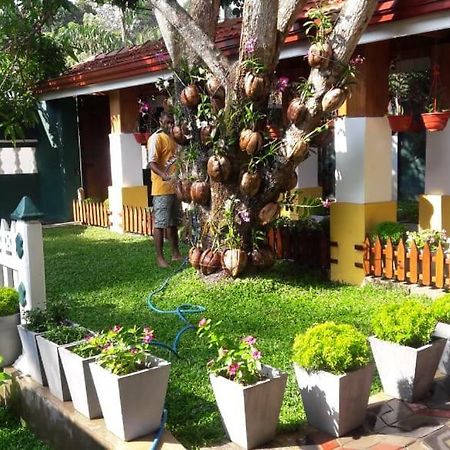 Pearl Holiday Villa Katunayaka Extérieur photo