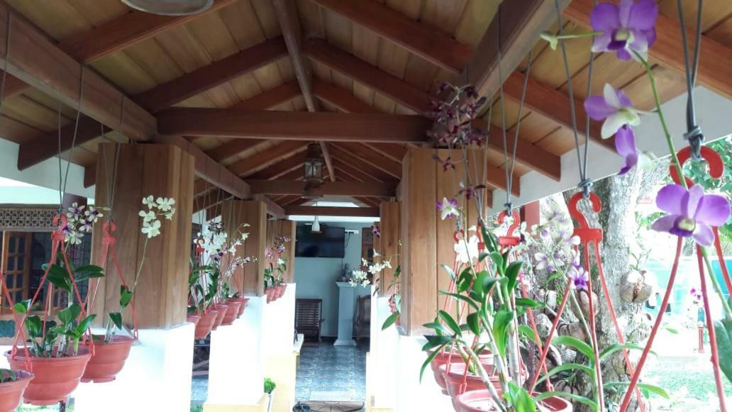 Pearl Holiday Villa Katunayaka Extérieur photo